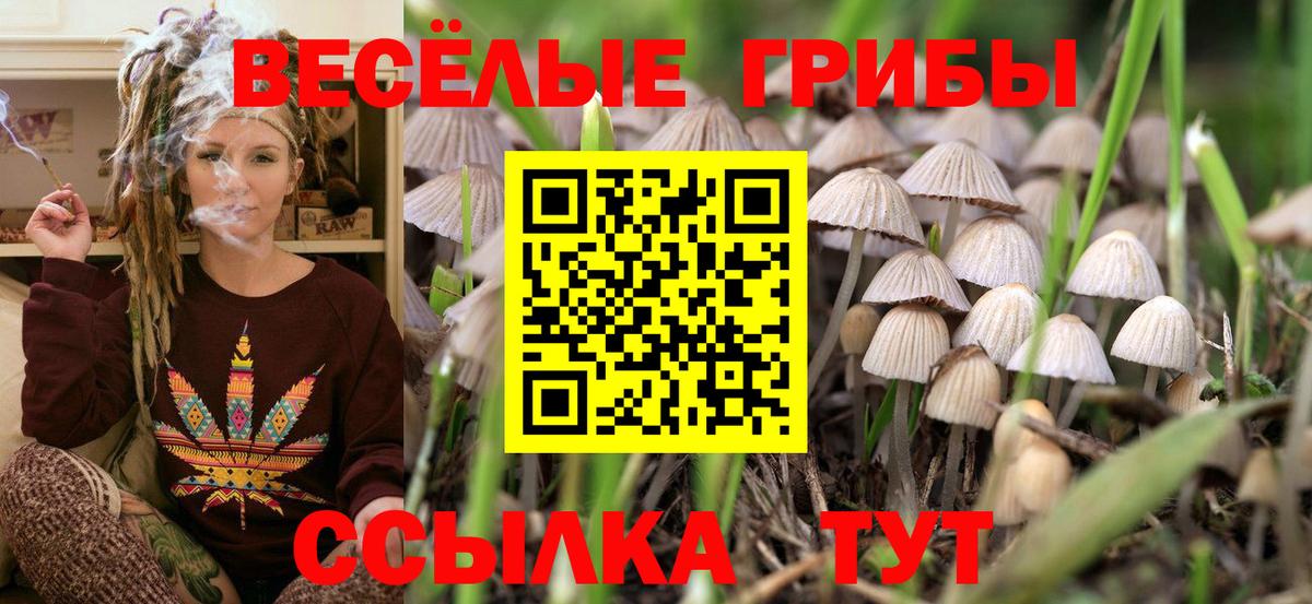Псилоцибиновые грибы Cubensis Семёнов