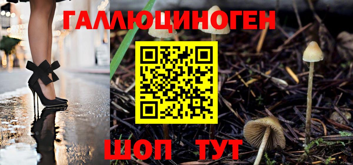 Псилоцибиновые грибы прущие грибы  Вход с VPN  Псилоцибиновые грибы GOLDEN TEACHER  Семёнов 